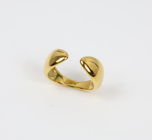 Chunky Horn Ring
